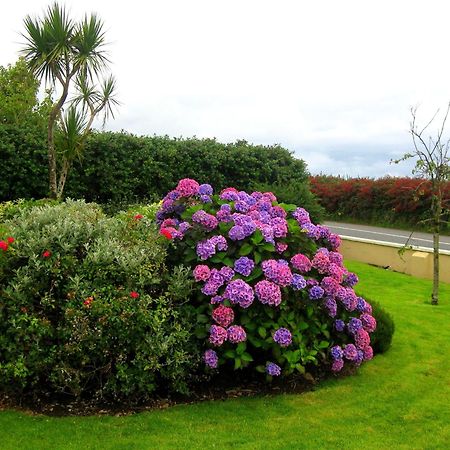 Cill Bhreac House B&B Dingle Kültér fotó
